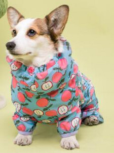 Lemmikloomade rõivad Veekindel kõikehõlmav koerte vihmamantel, mis sobib väikestele keskmistele koertele Neljajalgsete kapuutsiga Corgi puudlikoera vihmamantel