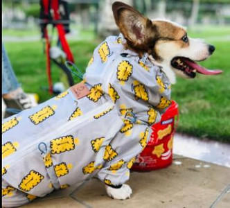 Lemmikloomade rõivad Veekindel kõikehõlmav koerte vihmamantel, mis sobib väikestele keskmistele koertele Neljajalgsete kapuutsiga Corgi puudlikoera vihmamantel