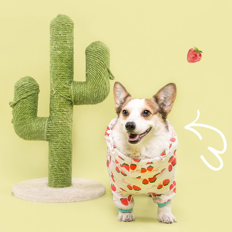 Lemmikloomade rõivad Veekindel kõikehõlmav koerte vihmamantel, mis sobib väikestele keskmistele koertele Neljajalgsete kapuutsiga Corgi puudlikoera vihmamantel