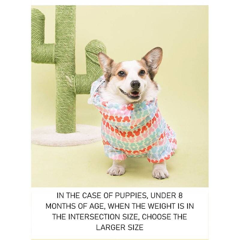 Lemmikloomade rõivad Veekindel kõikehõlmav koerte vihmamantel, mis sobib väikestele keskmistele koertele Neljajalgsete kapuutsiga Corgi puudlikoera vihmamantel