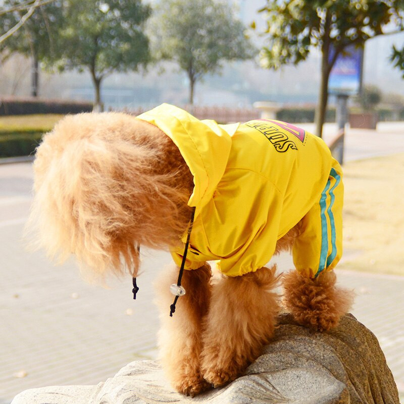 Δωρεάν αποστολή Hot Sale Ρούχα αδιάβροχο για σκύλους κατοικίδιων ζώων υψηλής ποιότητας Αδιάβροχο αδιάβροχο αστέρι αδιάβροχο αναπνέον άνοιξη 2 έγχρωμα ρούχα για σκύλους