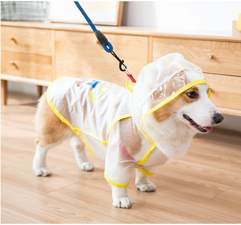 2021 NOVA Ljetna kišna kabanica za štene za kućne ljubimce XS-XL Vodootporna jakna s kapuljačom TPU kabanica za velške korgi buldoge Štiti trbuh