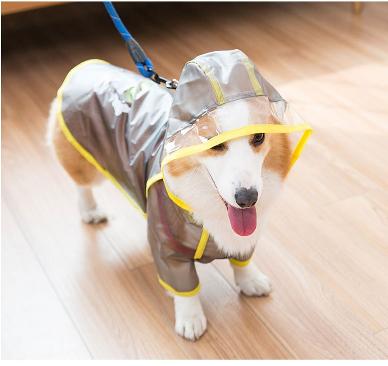 2021 NOVA Ljetna kišna kabanica za štene za kućne ljubimce XS-XL Vodootporna jakna s kapuljačom TPU kabanica za velške korgi buldoge Štiti trbuh