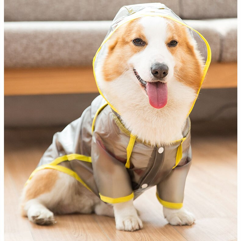2021 NOVA Ljetna kišna kabanica za štene za kućne ljubimce XS-XL Vodootporna jakna s kapuljačom TPU kabanica za velške korgi buldoge Štiti trbuh
