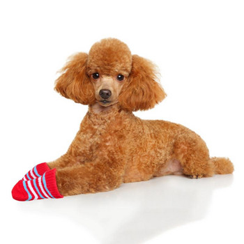 4 бр./компл. Чорапи за домашни любимци Нехлъзгащи се плетени чорапи за кучета Сладко кученце Плетени чорапи за кучета Зимни топли чорапи Теди Вълнени чорапи за домашни любимци Произволни
