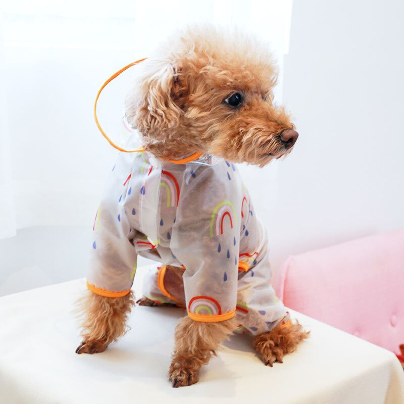 Pláštenka na psa, priehľadná, s neucpávajúcimi očami, nepremokavá, dúhová, oblečenie na malé a stredné psy, oblečenie pre domáce zvieratá s dúhovým efektom