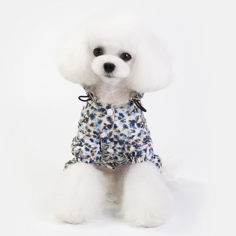 Kassi polüester kapuutsiga veekindel neljajalgse kapuutsiga värske trükiga vihmamantel koerariided Täiesti sobiv vihmamantel õues ostlemiseks