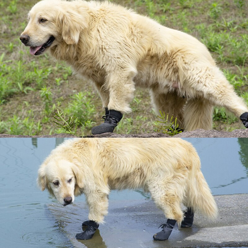 ABQP kojinės šunims lauke mažiems kačių šunims Trikotažo šiltos kojinės nuo slydimo guminių padų batai Priedai 4vnt Spausdinti Paw Sport Pet Cats