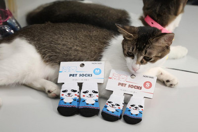 Roztomilé bavlnené ponožky pre domáce zvieratá, ponožky pre psy, protišmykové ponožky pre mačky, čisté teplé ponožky pre domáce zvieratá, topánky pre malé psy