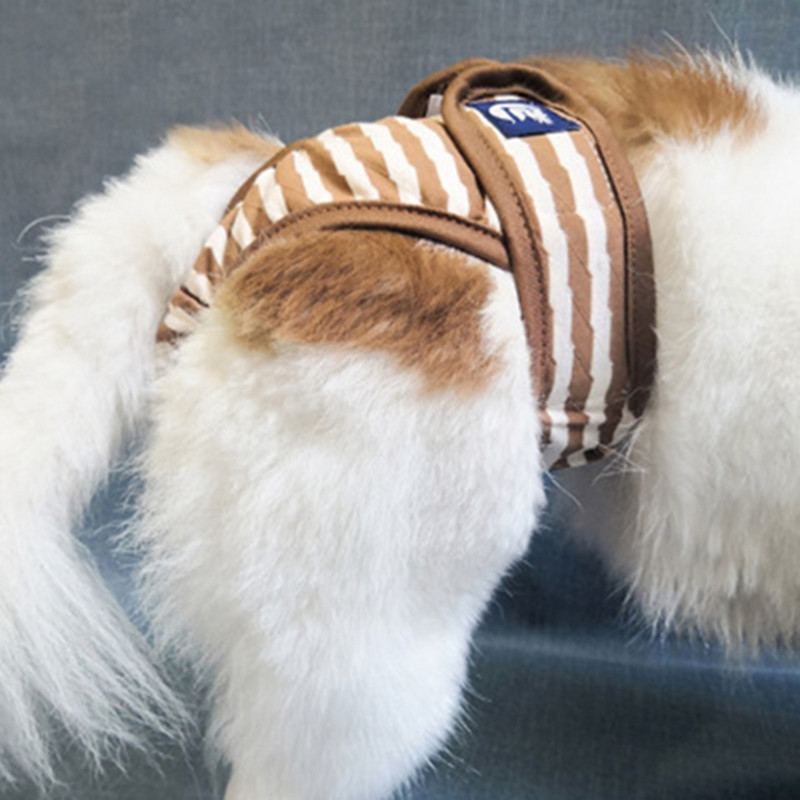 NONOR dámske prateľné šortky pre psov, menštruačné spodné prádlo, overal, fyziologické nohavičky pre domáce zvieratá, hygienické plienky