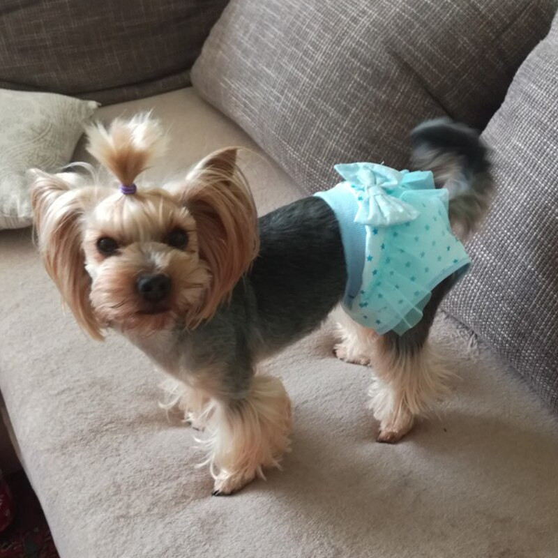 Lemmiklooma koera lühikesed püksid sanitaar-füsioloogilised püksid pestavad puuvillased lemmikloomapüksid mähkmed emased koerad menstruatsioonipüksid aluspesu püksid