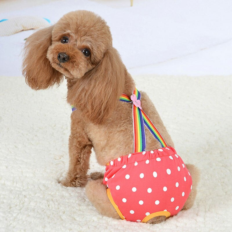 Šunų sauskelnės naminiams šunims kelnaitės Pet Fizinės kelnaitės šuniukų šortai higieniniai kvėpuojantys spalvingi, mieli, mieli, saugūs, gėlėti šunų apatiniai drabužiai