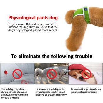 Πάνες σκύλου Φυσιολογικό παντελόνι που πλένεται Πάνες Doggie για θηλυκά σορτς για σκύλους Μαλακό παντελόνι για σκύλους Εσώρουχα για κατοικίδια Εσώρουχα υγιεινής