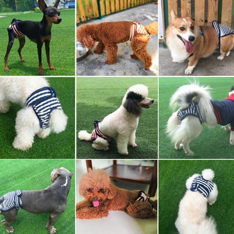 Kratke hlače za pse Gaćice za menstruaciju Gaćice za donje rublje Kombinezon za kućne ljubimce Fiziološka pelena za pse Sanitarna za pse Može se prati