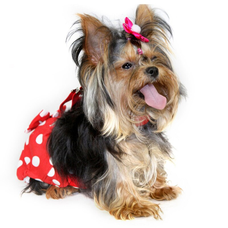 Lemmiklooma füsioloogilised püksid Emane Koer Sanitaarpüksid Lühikesed püksid Aluspesu Sanitaarmähe Pestav Corgi Prantsuse buldogi terjer Mopsid