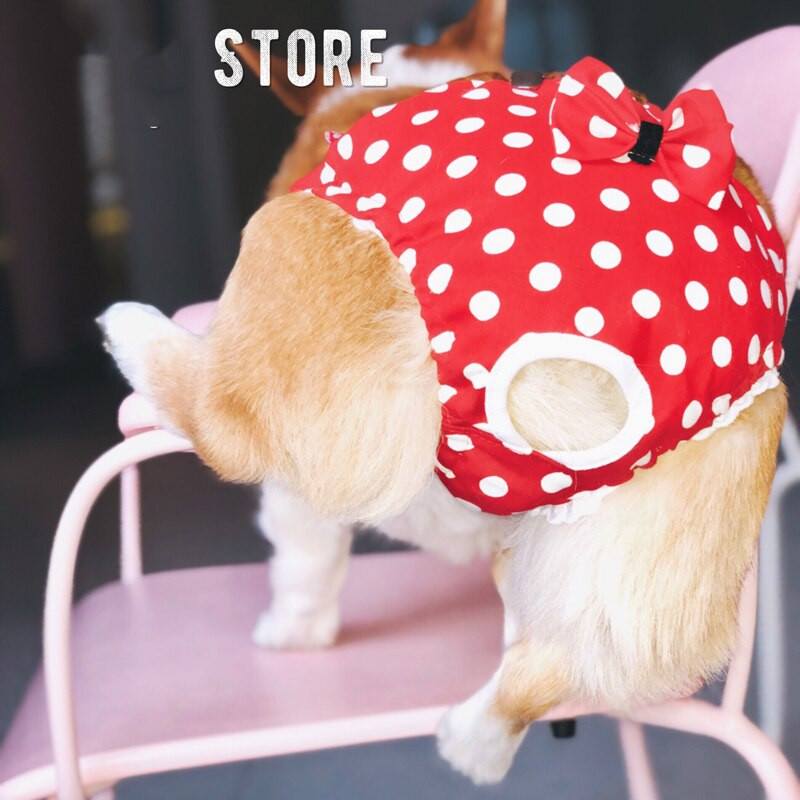 Lemmiklooma füsioloogilised püksid Emane Koer Sanitaarpüksid Lühikesed püksid Aluspesu Sanitaarmähe Pestav Corgi Prantsuse buldogi terjer Mopsid