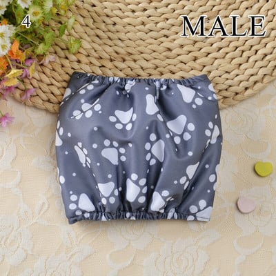 Prateľné fyziologické nohavičky pre psov, samce, prevencia ruje, menštruačné bezpečnostné nohavičky pre domáce zvieratá, hygienické nohavičky, opasok