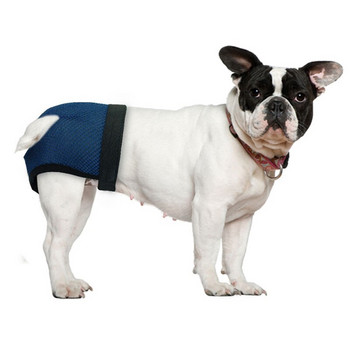 Физиологични панталони за кучета Пелена за домашни любимци Санитарно бельо Перящи се женски гащички за кучета Къси гащички за кученце Малко средно голямо куче