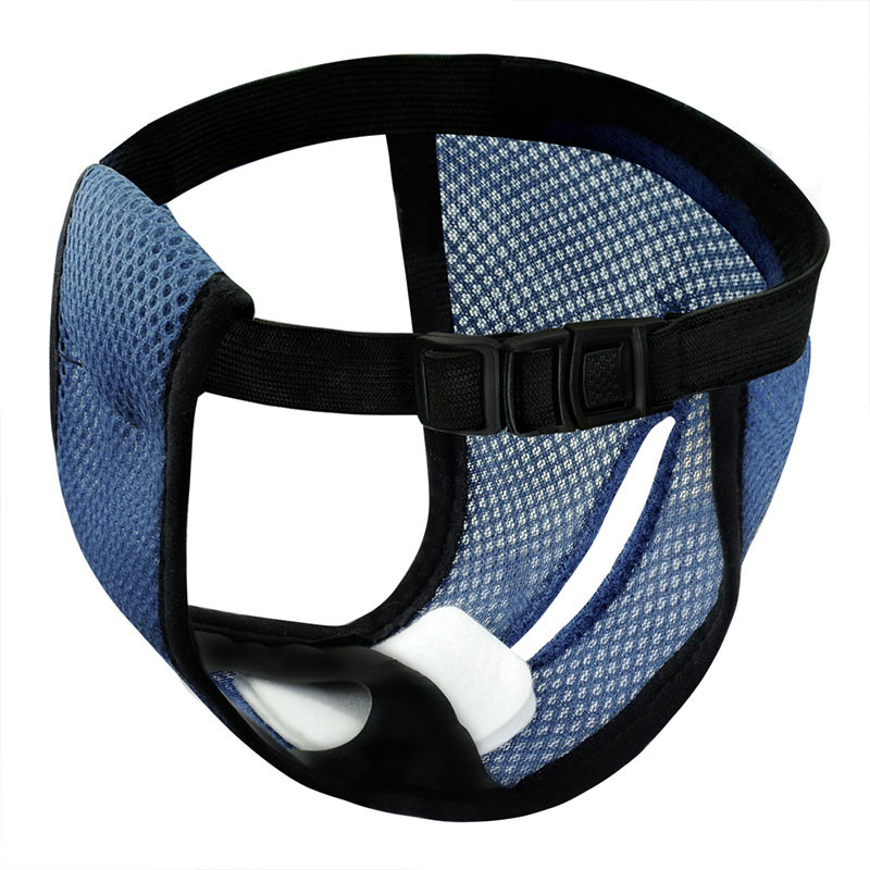 Tüdruk Lemmikmähkmed Koer Kutsikas Püksid Pet Underwe Koer Füsioloogilised Mähkmed Koerad Sanitaarpüksid Lühikesed püksid Lemmikloomatarvikud