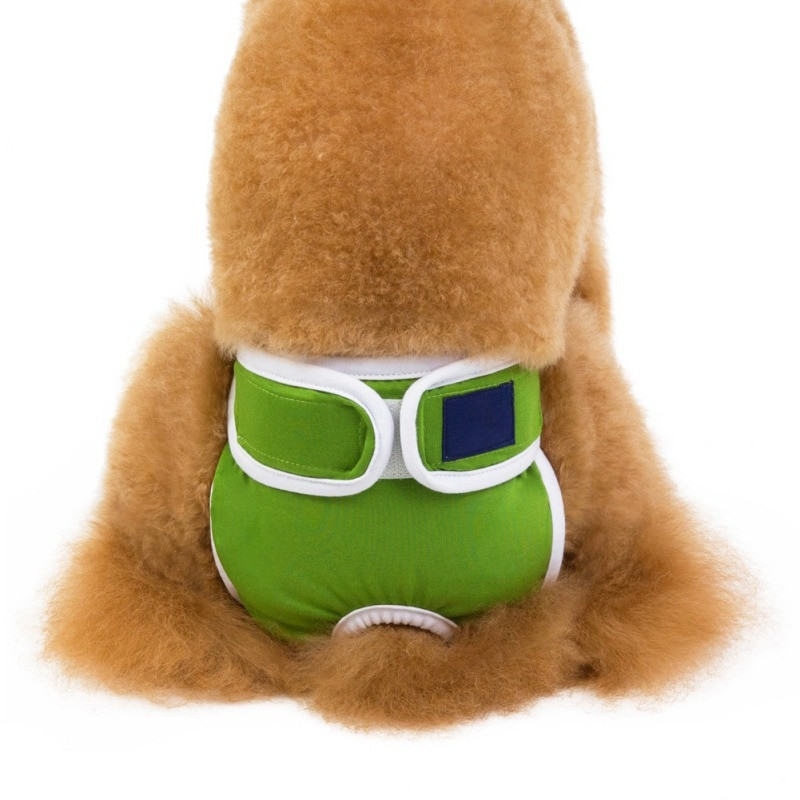 Lemmiklooma puuvillast pestavad koeramähkmed Vastupidavad esmaklassilised emased koerad korduvkasutatavad hügieenisidemed aluspüksid Kvaliteetsed