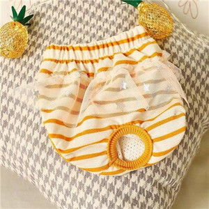 5 värvi koera/kassi püksid XS-L koerapüksid füsioloogilised püksid väikestele koertele Pestavad naiste sanitaarpüksid kirjapüksid koertele5