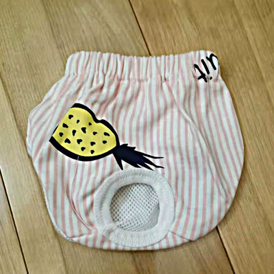 Lemmiklooma hügieenilised füsioloogilised püksid koera mähe pestavad emased koera lühikesed püksid aluspüksid menstruatsiooni aluspesu lemmiklooma püksid kutsika aluspüksid