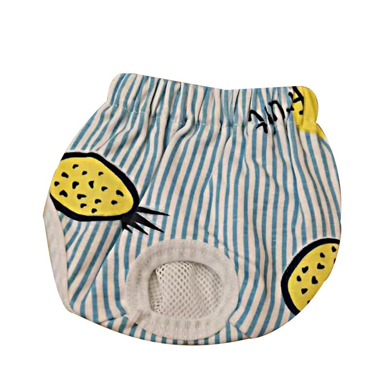 Lemmiklooma hügieenilised füsioloogilised püksid koera mähe pestavad emased koera lühikesed püksid aluspüksid menstruatsiooni aluspesu lemmiklooma püksid kutsika aluspüksid