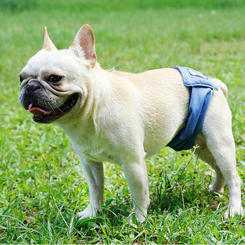 Pets Care Πλένεται πάνα για αρσενικό σκύλο Υγειονομικό φυσιολογικό παντελόνι Belly Band Wrap Αδιάβροχη πάνα για κατοικίδια Εσώρουχα XS-XXL