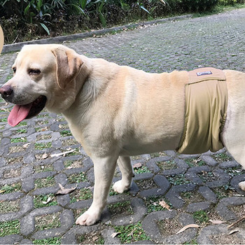 Pets Care Πλένεται πάνα για αρσενικό σκύλο Υγειονομικό φυσιολογικό παντελόνι Belly Band Wrap Αδιάβροχη πάνα για κατοικίδια Εσώρουχα XS-XXL