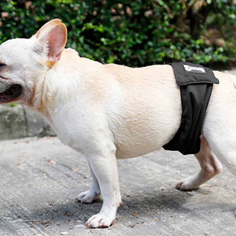 Domáce zvieratá Starostlivosť o prateľné plienky pre psov, hygienické fyziologické nohavičky, brušný pás, zavinovacia fólia, nepremokavé plienky pre domáce zvieratá, spodná bielizeň XS-XXL