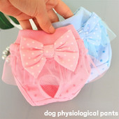 Pet δαντέλα φυσιολογικό παντελόνι σκύλος χαριτωμένο παντελόνι υγιεινής θηλυκό παντελόνι ασφαλείας σκύλου αρκετό παντελόνι περίοδος κατοικίδιο στεγανό εσώρουχο εμμηνόρροιας