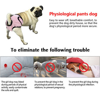 Επαναχρησιμοποιήσιμο παντελόνι για σκύλους Φυσιολογικό παντελόνι που πλένεται θηλυκό κορίτσι σκυλιά Σορτς παντελόνια απορροφητικά εσώρουχα κατοικίδια Εσώρουχα υγιεινής