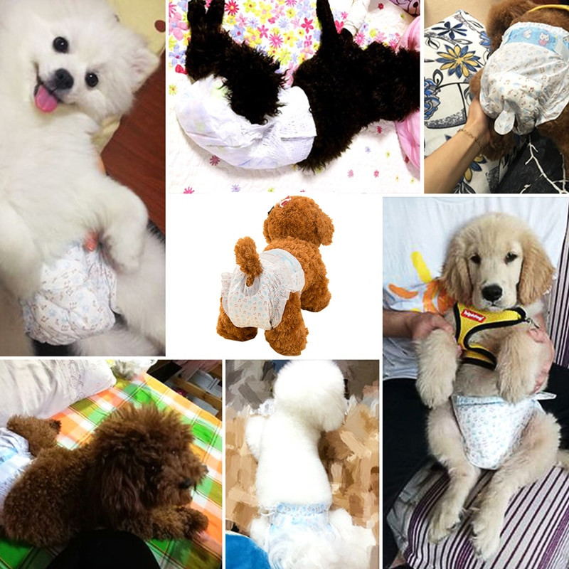 10 ks/vrecko Super absorpčné fyziologické nohavičky Plienky pre psov pre domáce zvieratá, samice psov, jednorazové nepriepustné plienky pre šteniatka