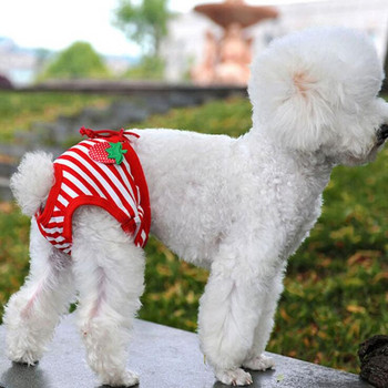 Χαριτωμένο θηλυκό σκυλί φυσιολογικό παντελόνι πάνα υγιεινής εσώρουχα για σκύλο