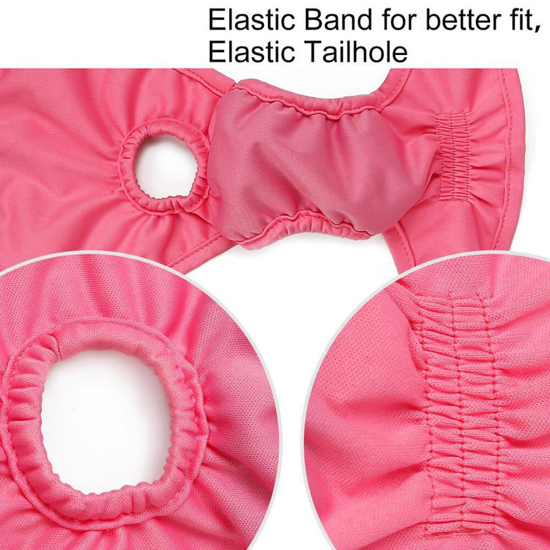 Koerte füsioloogilised püksid mähkmed hügieenilised pestavad emased koerapüksid lühikesed püksid aluspüksid koertele hügieenilised aluspüksid