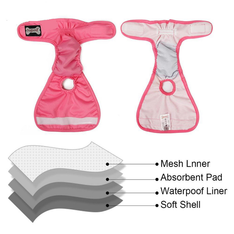 Koerte füsioloogilised püksid mähkmed hügieenilised pestavad emased koerapüksid lühikesed püksid aluspüksid koertele hügieenilised aluspüksid