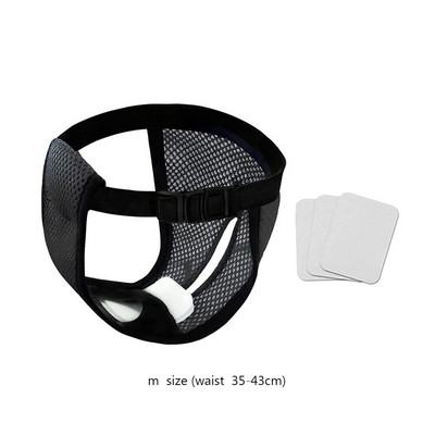 Lemmiklooma füsioloogilised püksid ühekordselt kasutatavad hügieenilised mähe emastele koertele kassidele Super vett imavad lemmikloomakoerte hügieenipüksid