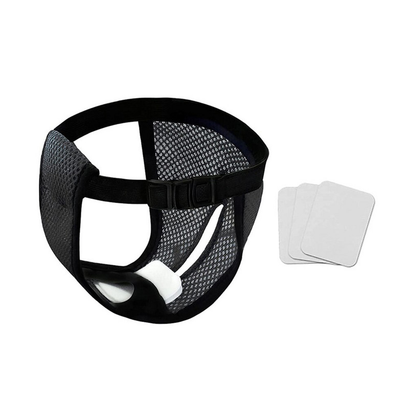 Lemmiklooma füsioloogilised püksid ühekordselt kasutatavad hügieenilised mähe emastele koertele kassidele Super vett imavad lemmikloomakoerte hügieenipüksid