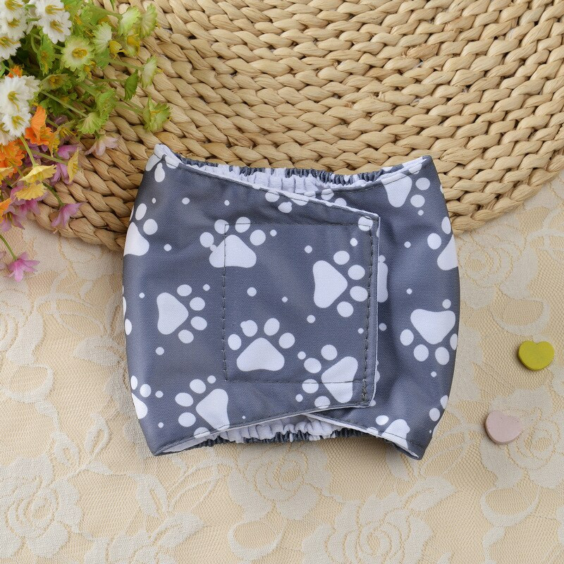 Armsad lemmikloomade koerte mähe Sanitaar Füsioloogilised püksid Multifilm Koerakäpp Prindi Avaleht Pestavad emased koerad Aluspüksid Lühikesed püksid Aluspüksid