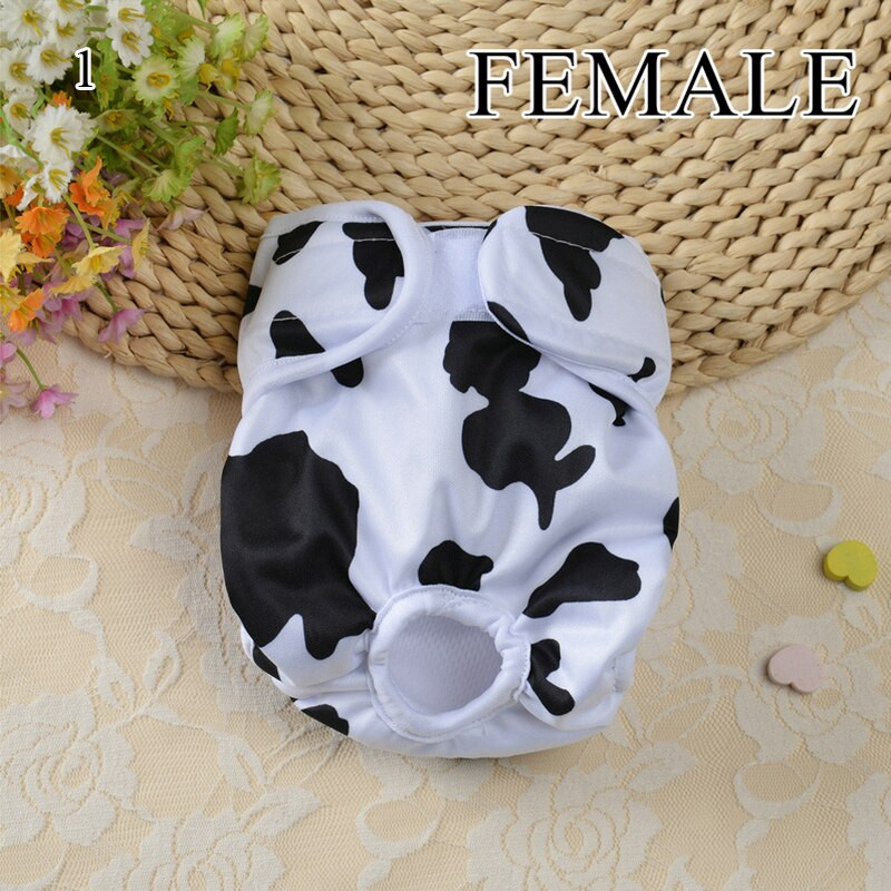 Armsad lemmikloomade koerte mähe Sanitaar Füsioloogilised püksid Multifilm Koerakäpp Prindi Avaleht Pestavad emased koerad Aluspüksid Lühikesed püksid Aluspüksid