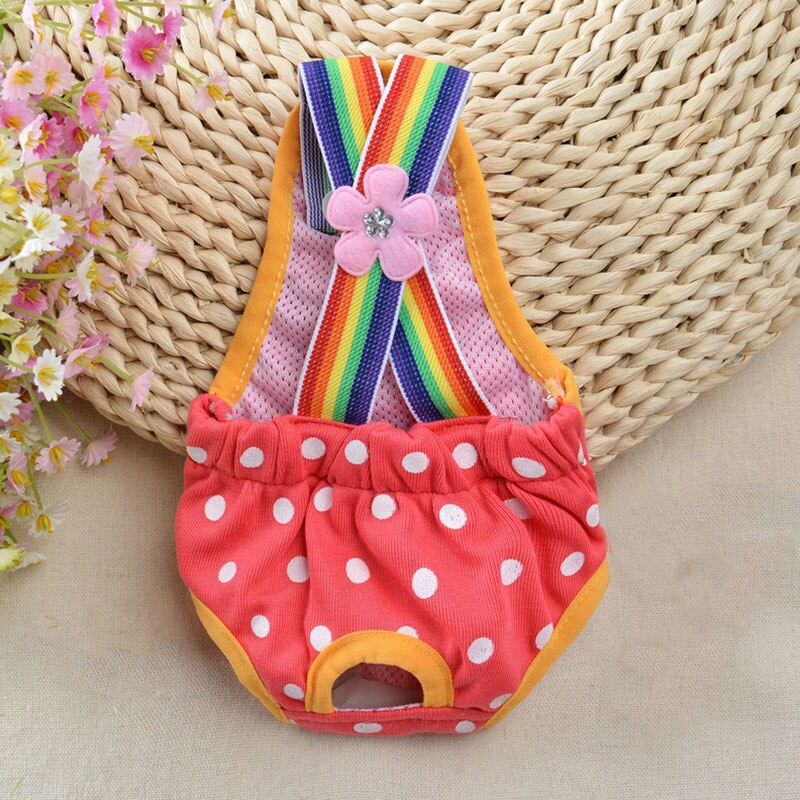 Koera aluspesu hingav värviline koer füüsiline püksid koera mähkmed lemmiklooma koera aluspüksid kutsikas lühike armas hügieeniline lemmiklooma füsioloogiline püksid