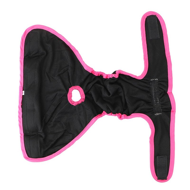 Lemmiklooma aluspesu Lemmikloomatooted Füsioloogilised püksid väikestele keskmise suurusega koertele Emaste koerte lühikesed püksid kutsika mähe koeratarbed