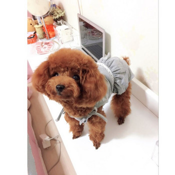 Φυσιολογικό παντελόνι σκύλου Σορτς σκύλου S-XL Pet Puppy Dog Cat που πλένεται Γυναικεία πάνα Υγιεινής εσώρουχα Σύντομο προϊόν για κουτάβι