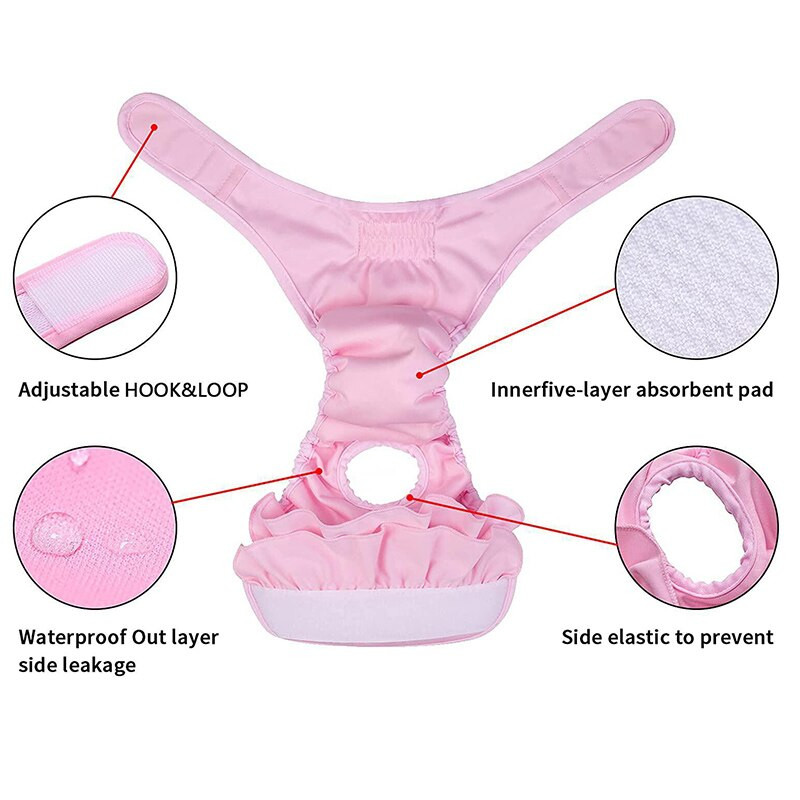 Korduvkasutatavad emaste lemmikloomade füsioloogilised püksid Pestavad suurte koerte sanitaarpüksid Mähkmed keskmise suurusega koertele maskotid tarvikud