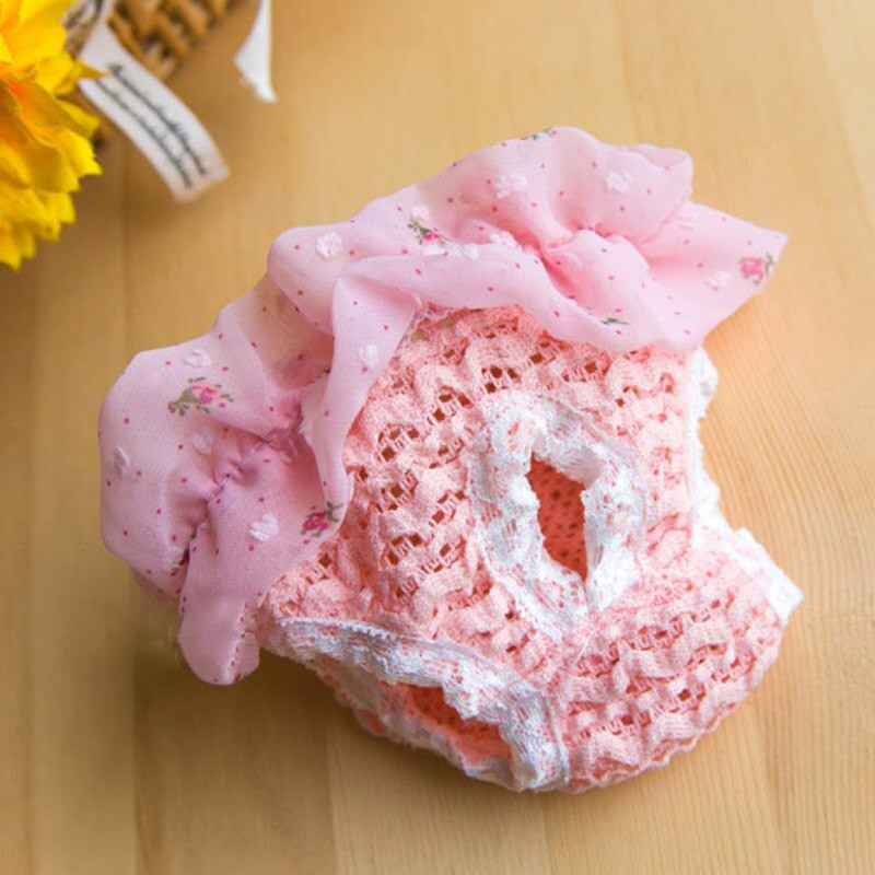 Emane kutsikas koerapüksid Sifonki sanitaarpüksid väikestele koertele Mähkmed koertele Füsioloogilised püksid Lemmikloomapüksid Chihuahua