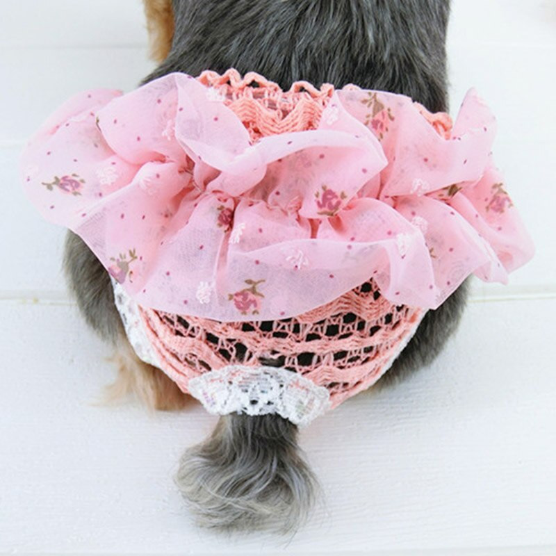 Emane kutsikas koerapüksid Sifonki sanitaarpüksid väikestele koertele Mähkmed koertele Füsioloogilised püksid Lemmikloomapüksid Chihuahua