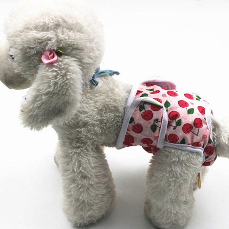 Εσώρουχα εσώρουχα με 11 στυλ για θηλυκό και αγόρι για σκύλους για κουτάβια παντελόνια πάνα πάνα υγιεινής