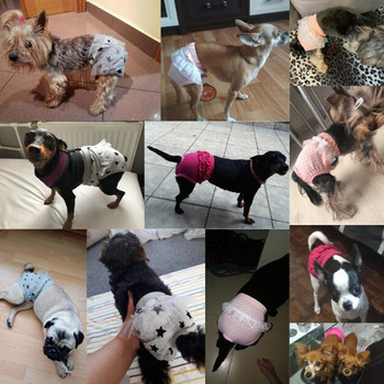 Γυναικείο κατοικίδιο Puppy Dog Παντελόνι Φυσιολογία Εσώρουχα Βαμβακερό σορτς Σλιπ πάνα υγιεινής με παντελόνι από δαντέλα Puppy