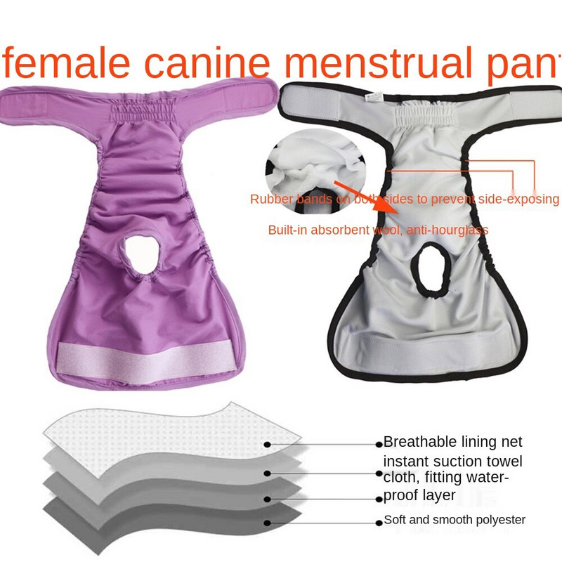 Pet Big Dog Fyziologické nohavičky Plienky Hygienické Vodotesné Menštruačné Nohavičky Suchý zips Prateľné Ženské Psie Nohavičky Šortky Spodná bielizeň