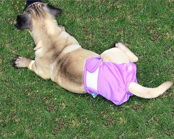 Ohbabyka Πλένονται πάνες για θηλυκό σκυλί με γάντζο και βρόχο ρυθμιζόμενο ζωικό τύπωμα εμμηνόρροιας Εσώρουχα πάνες για κατοικίδια Σορτς υγιεινής SML